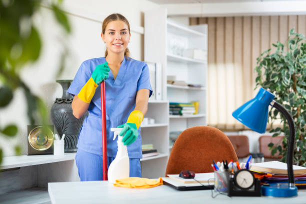 domestic_cleaning